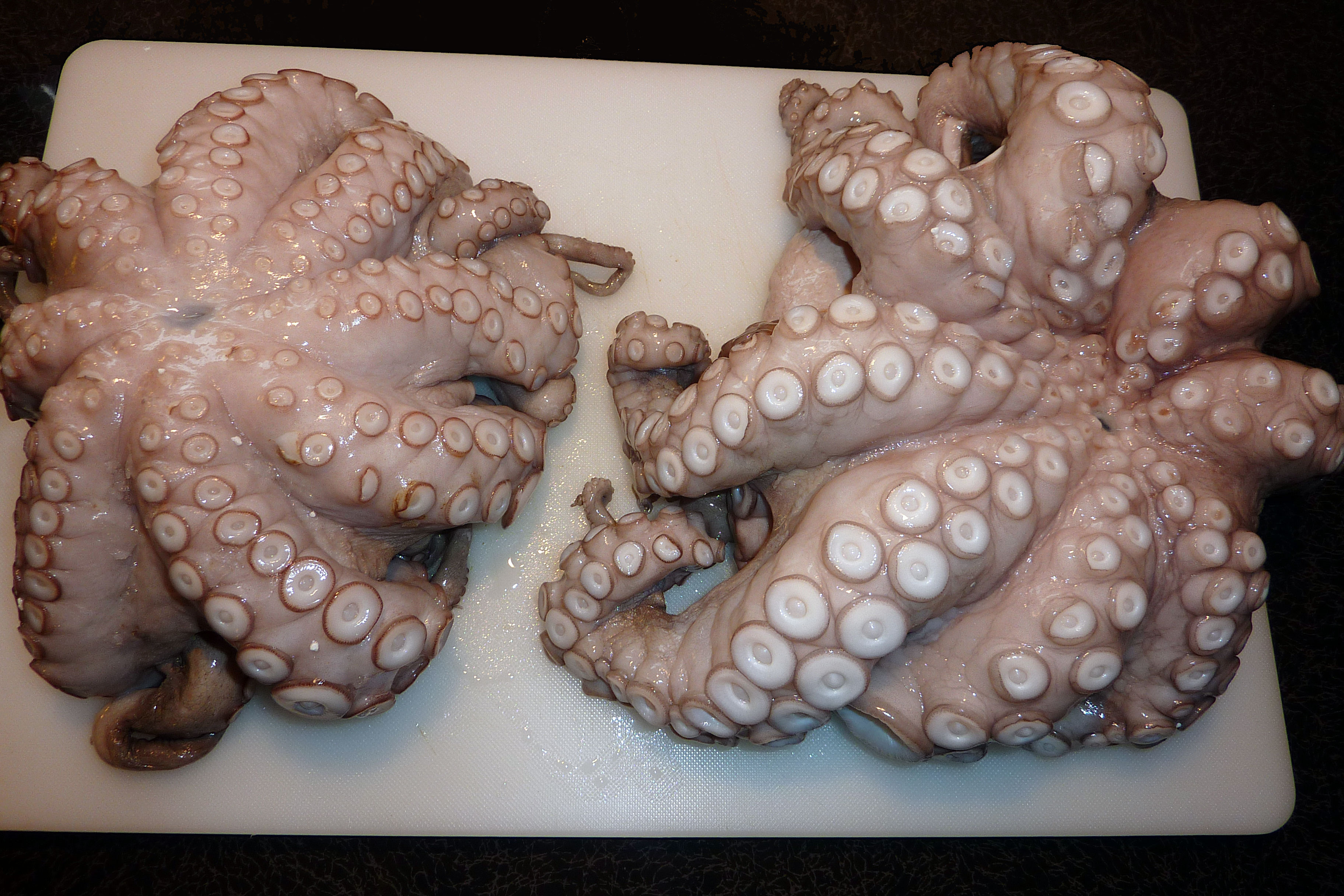 pulpo.jpg (1514358 Byte)